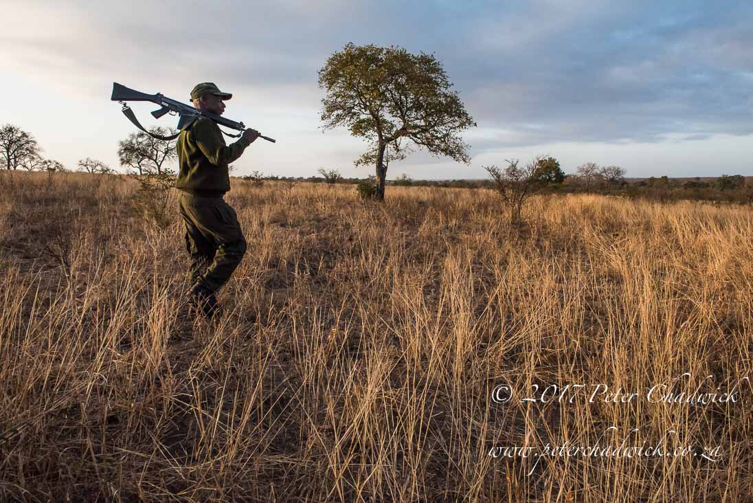 Africa's Conservation Rangers