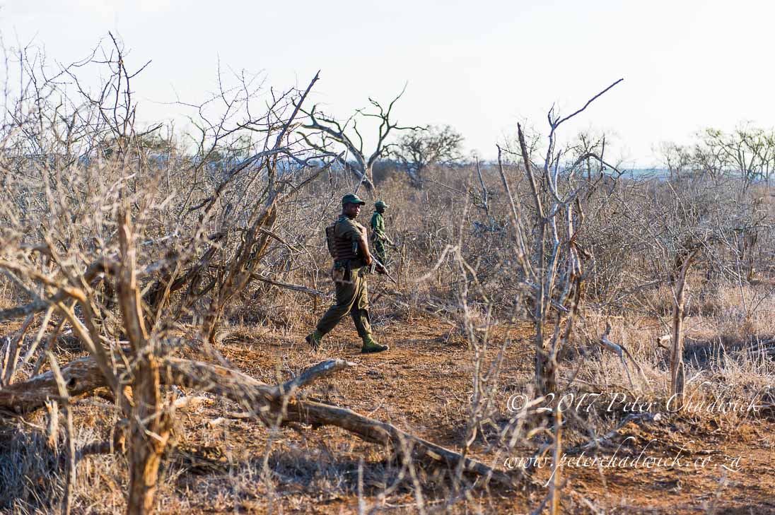 Africas Rangers_©PeterChadwick_AfricanConservationPhotographer