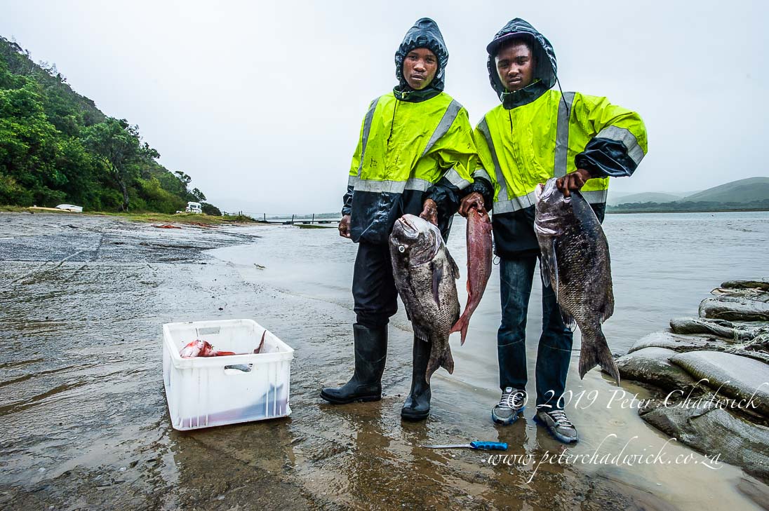 Amatole Marine Protected Area_©PeterChadwick_AfricanConservationPhotographer 