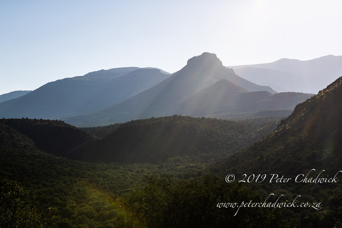 Mount Camdaboo_©PeterChadwick_AfricanConservationPhotographer