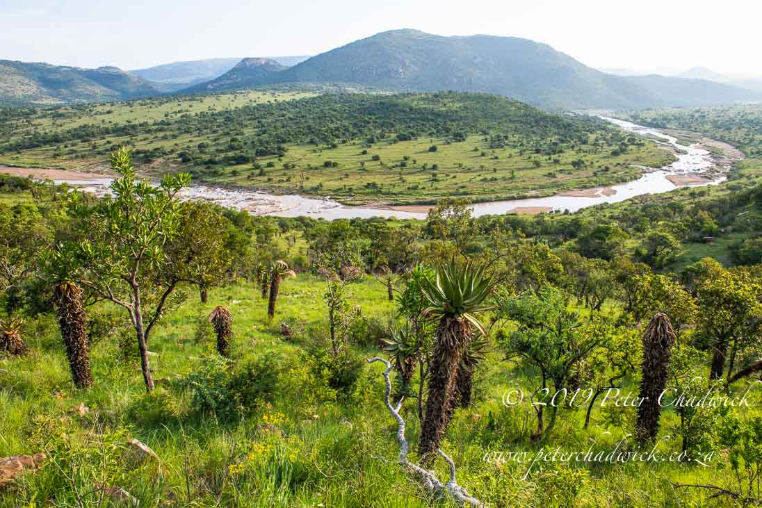 BabanangoGameReserve_©PeterChadwick_AfricanConservationPhotographer