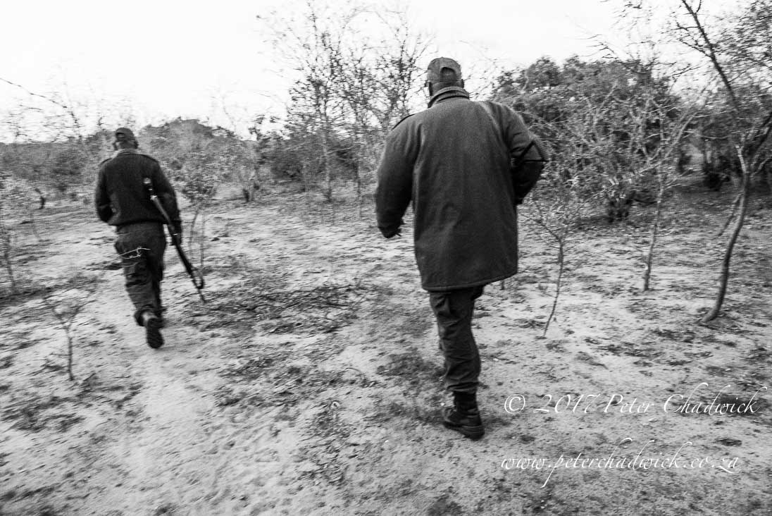 Chasing poachers_PeterChadwick_AfricanConservationPhotographer