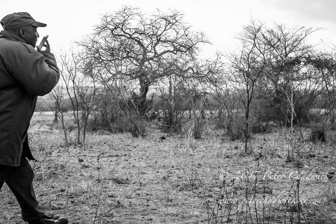 Chasing poachers_PeterChadwick_AfricanConservationPhotographer