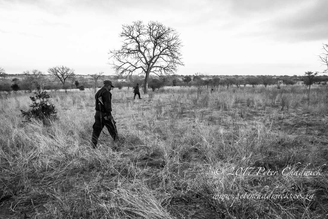 Chasing poachers_©PeterChadwick_AfricanConservationPhotographer