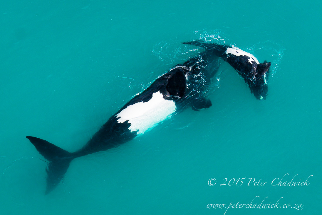 De Hoop Nature Reserve & Marine Protected Area