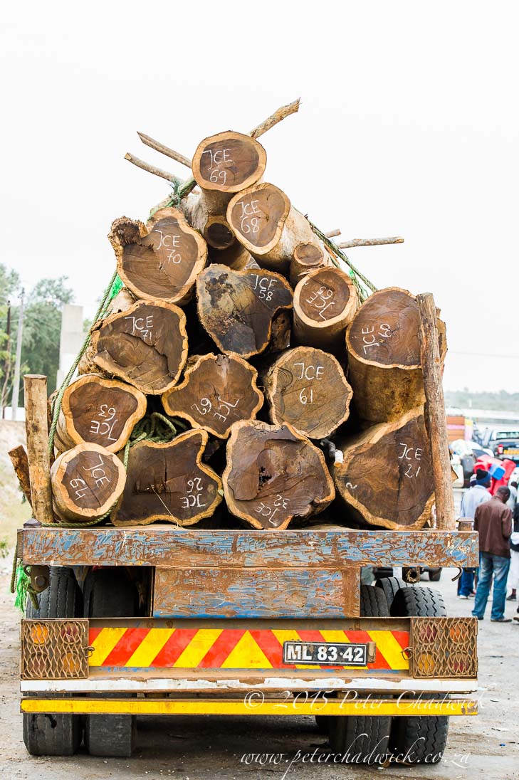 Deforestation in Mozambique_&copy;PeterChadwick_AfricanConservationPhotographer