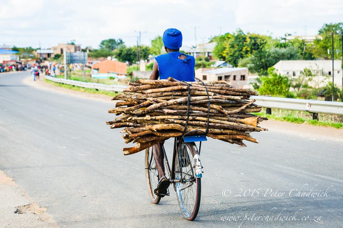 Deforestation in Mozambique