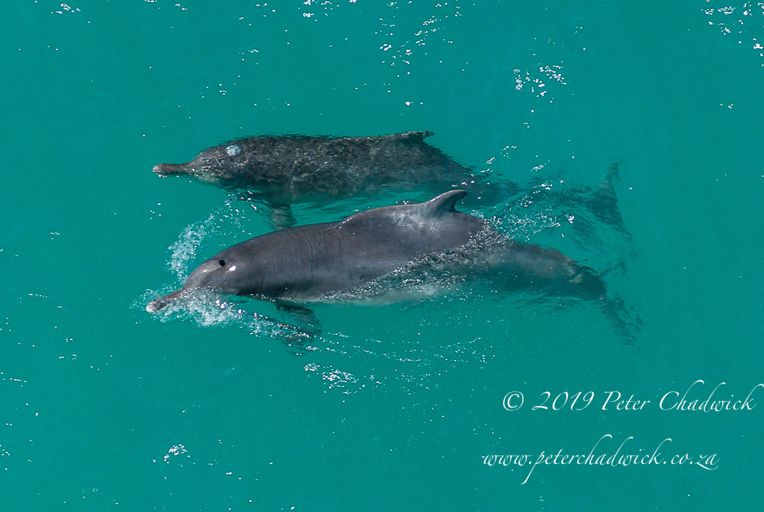 Goukamma Marine Protected Area