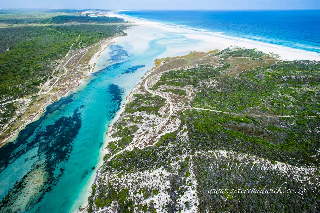 Biodiversity of the Cape Floristic Kingdom in the Overberg