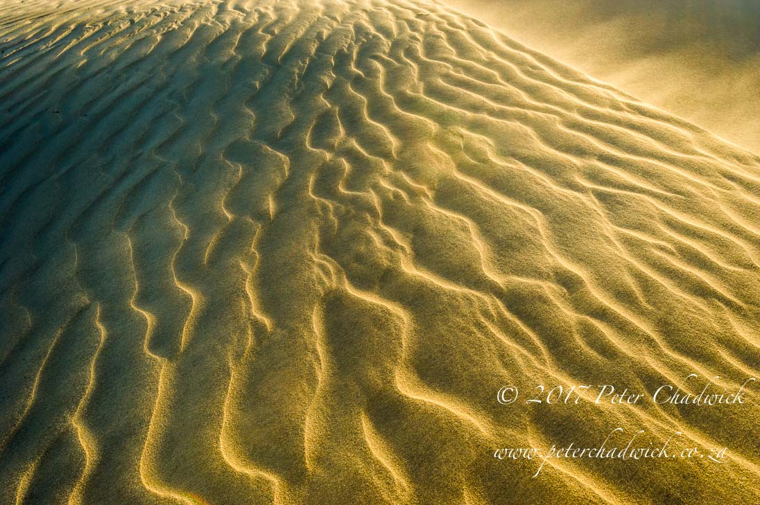 Overberg biodiversity_©PeterChadwick_AfricanConservationPhotographer
