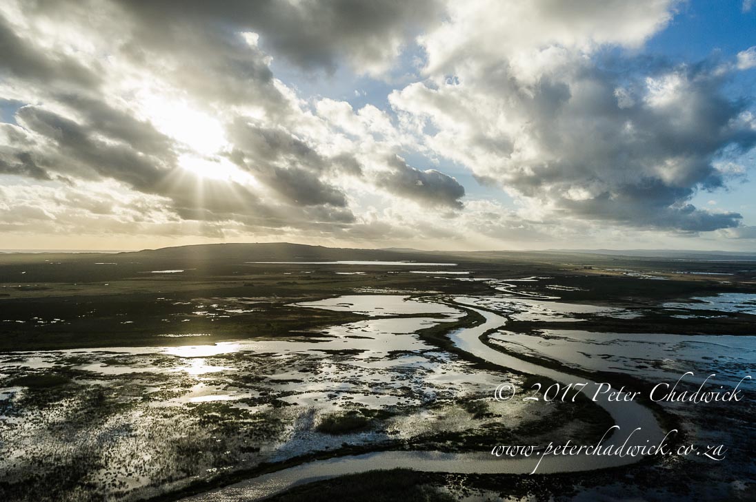 Overberg biodiversity_©PeterChadwick_AfricanConservationPhotographer