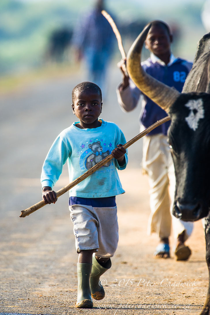 People of Mozambique_©PeterChadwick_AfricanConservationPhotographer