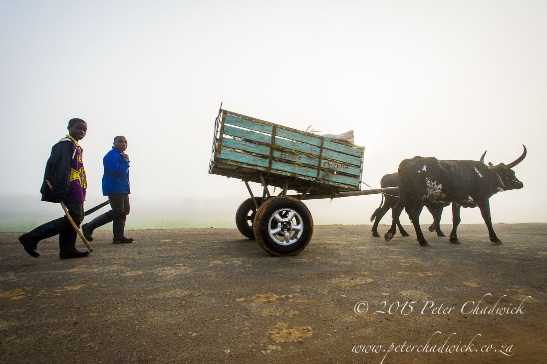 People of Mozambique_©PeterChadwick_AfricanConservationPhotographer