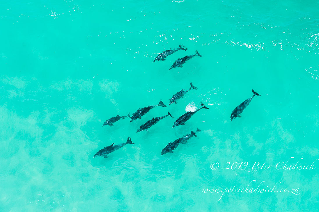 Pondoland Marine Protected Area_©PeterChadwick_AfricanConservationPhotographer 