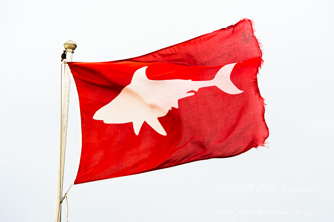 Shark Spotters Flag_©PeterChadwick_AfricanConservationPhotographer