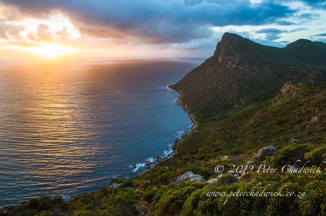 Table Mountain Marine Protected Area