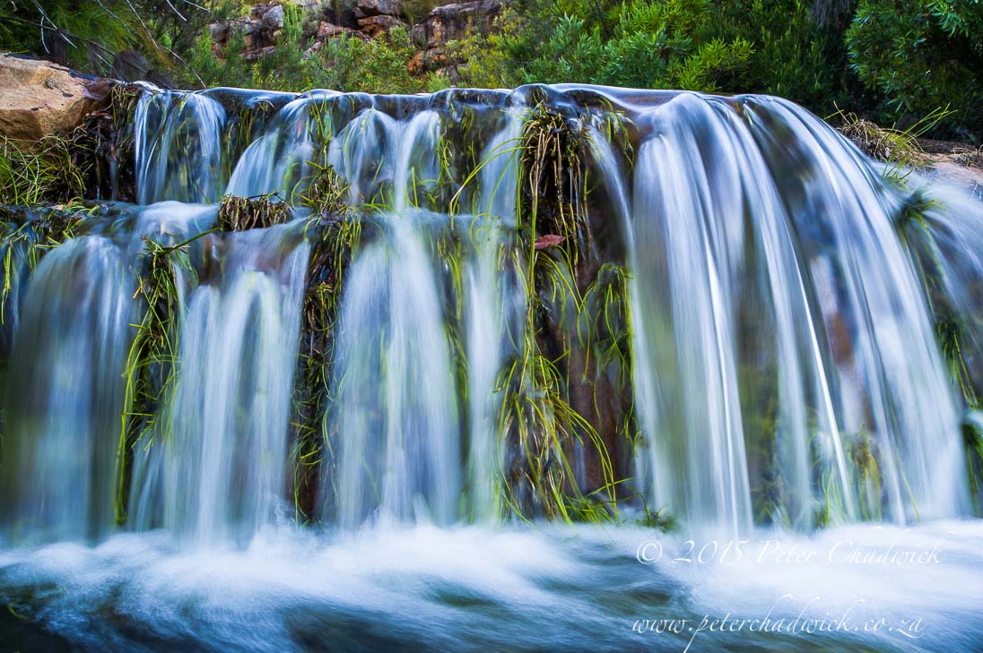 Water