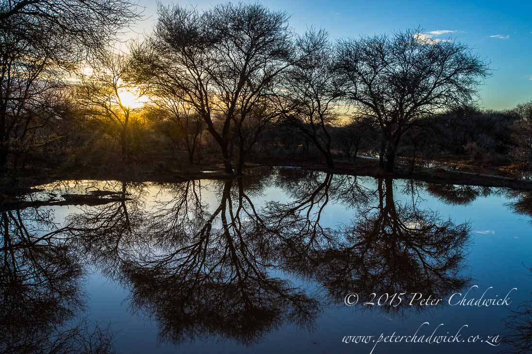 Water_©PeterChadwick_AfricanConservationPhotographer