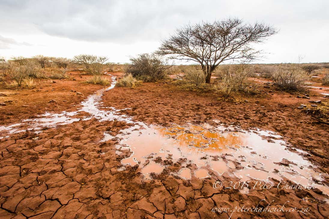 Water_©PeterChadwick_AfricanConservationPhotographer