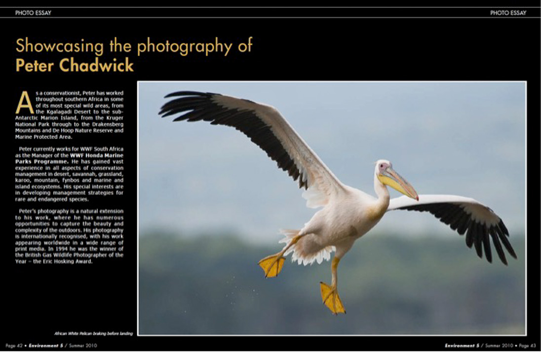 ©PeterChadwick_AfricanConservationPhotographer 
