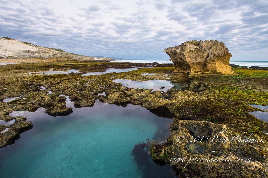 De Hoop Marine Protected Area_©PeterChadwick_AfricanConservationPhotographer