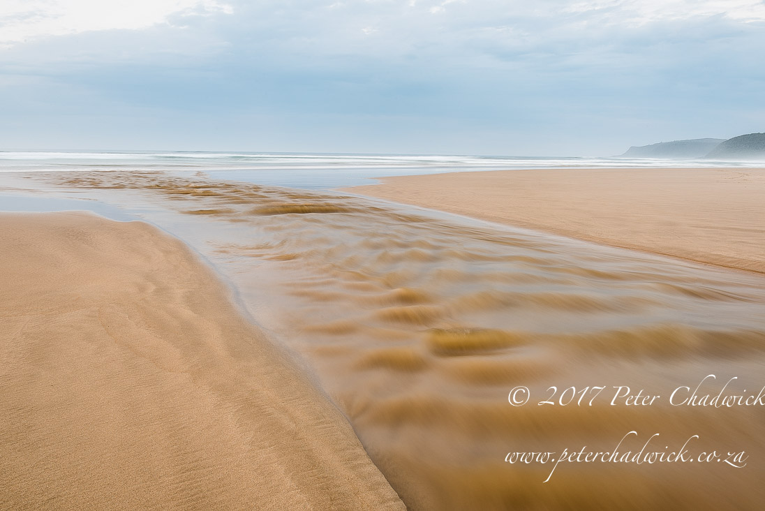 South Africa's Garden Route by Conservation Photographer Peter Chadwick