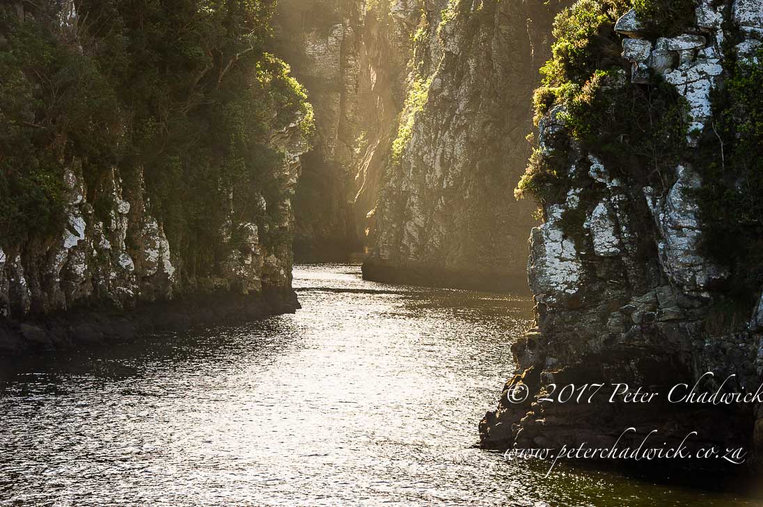 South Africa's Garden Route by Conservation Photographer Peter Chadwick