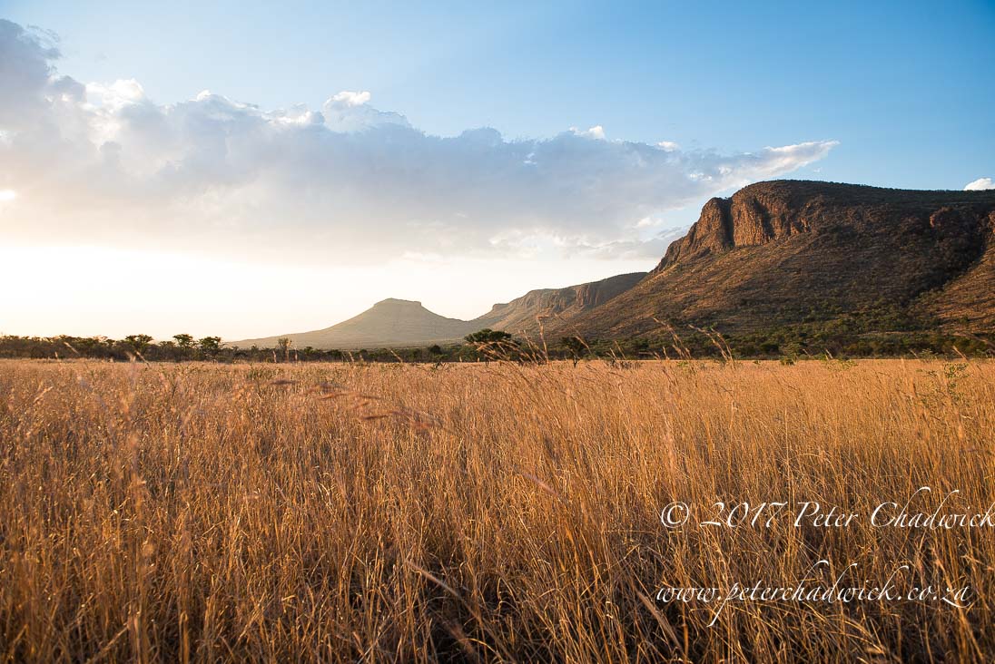 Beautiful Marataba Private Game Reserve by Conservation Photographer Peter Chadwick