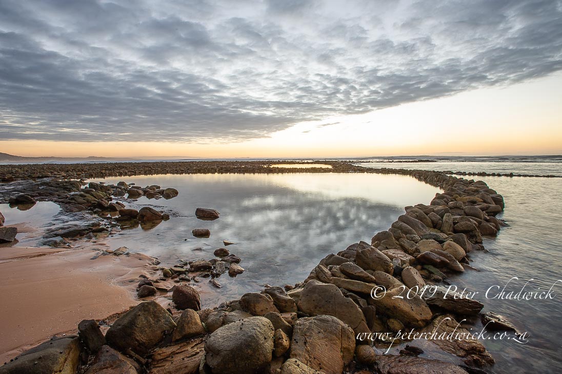 Stillbay Marine Protected Area_©PeterChadwick_AfricanConservationPhotographer 