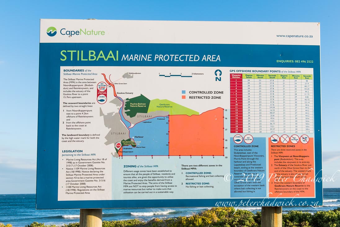 Stillbay Marine Protected Area_©PeterChadwick_AfricanConservationPhotographer 