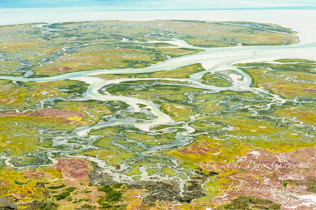 Langebaan Salt Marsh 