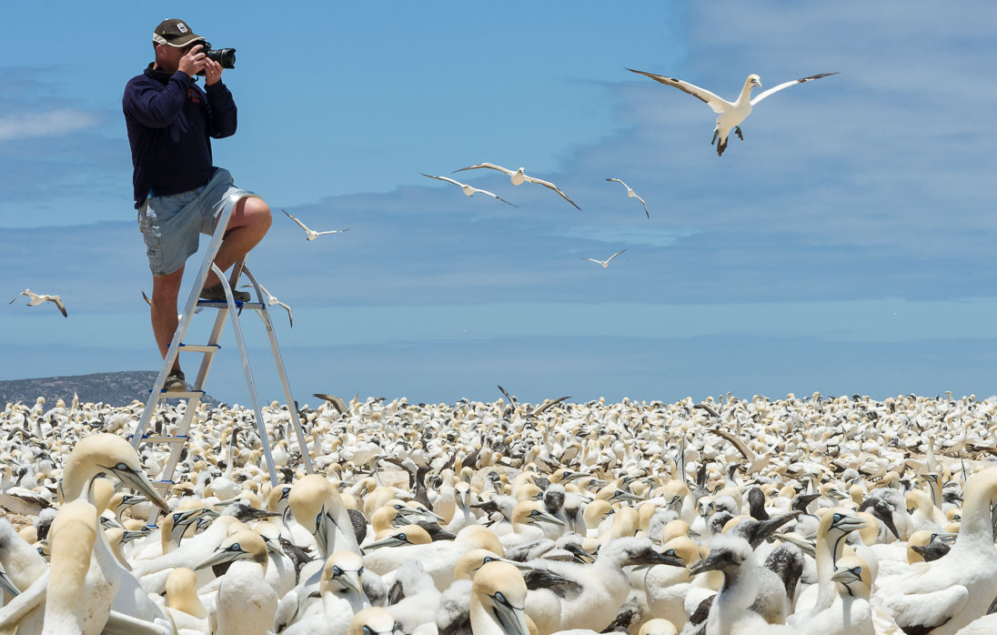 ©PeterChadwick_AfricanConservationPhotographer 