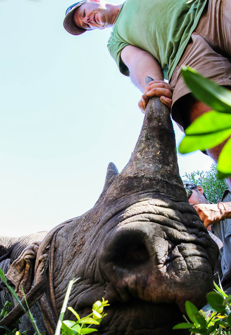 Peter Chadwick_African Conservation Photographer