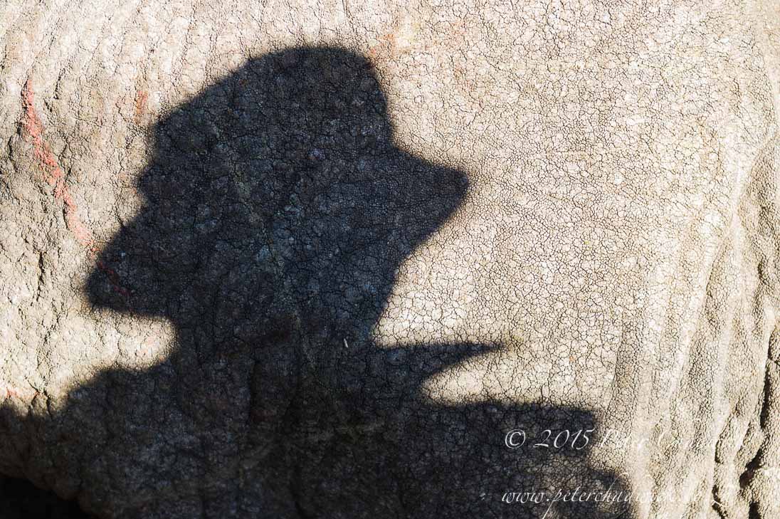 Who Are Africa's Rangers?