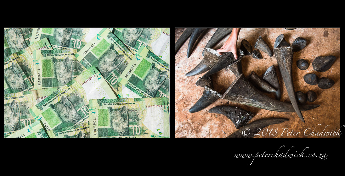 Organised crime is manipulating the impoverished to commit wildlife crime