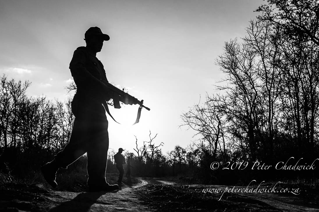 World Ranger Day 2019_©PeterChadwick_AfricanConservationPhotographer