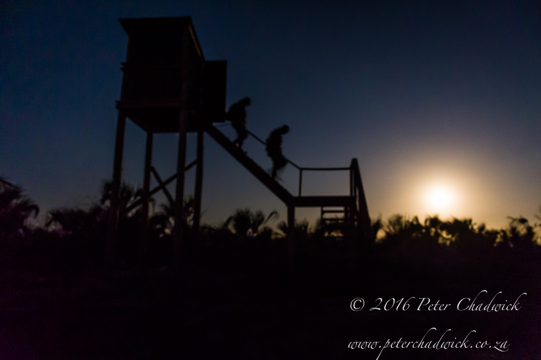 Full Moon Anti-Poaching Patrol