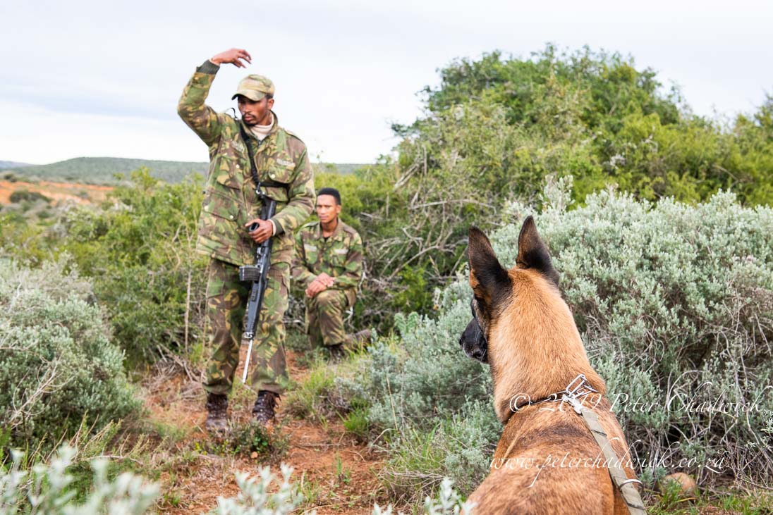  Partnerships Are Key To Success In Tackling Rhino Poaching