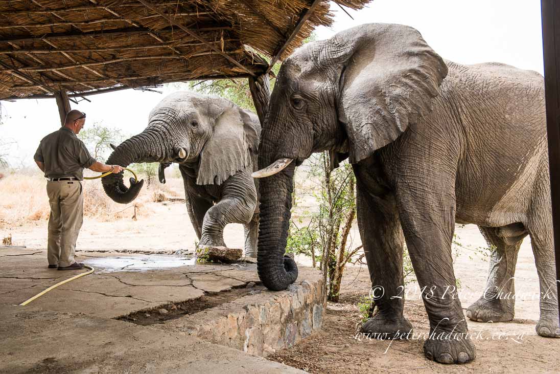 Local communities must be part of conservation decision making