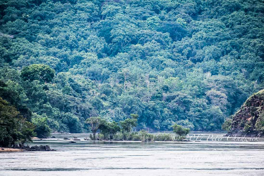Anti-poaching in Gabon