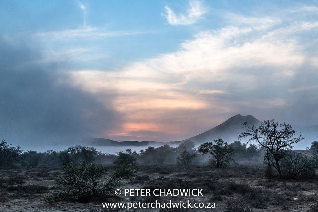 Mist over the Karoo PeterChadwick AfricanConservationPhotographer 2