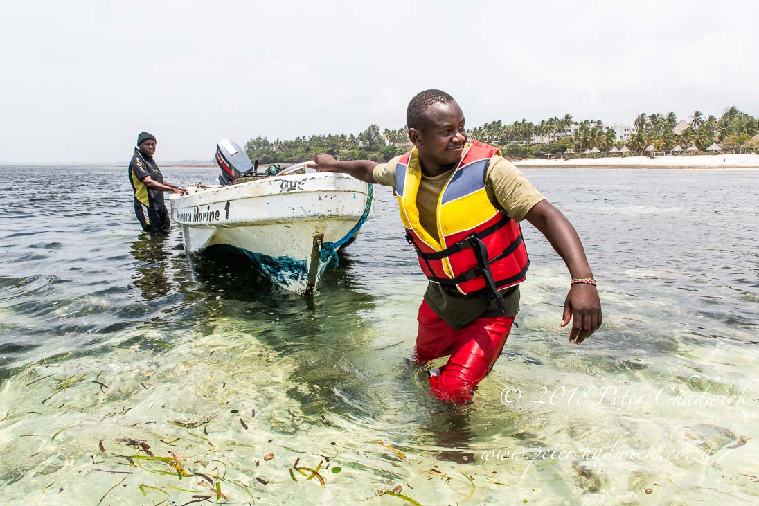 Supporting Marine Rangers in Africa