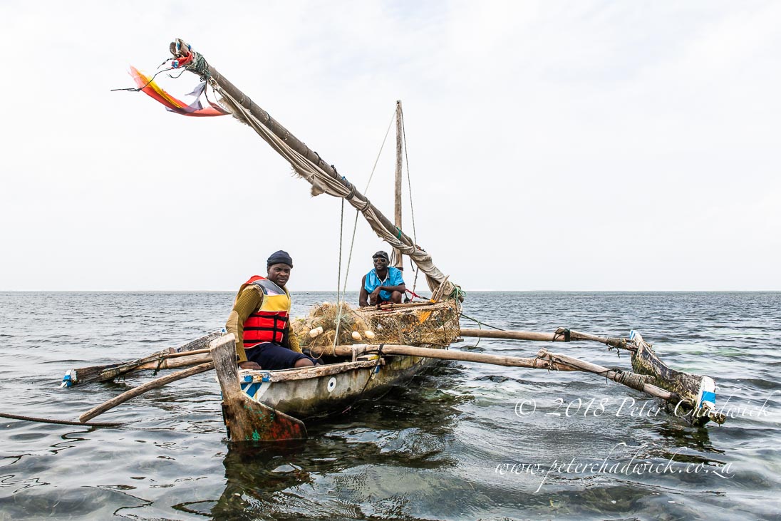 Supporting the development and effective management of marine protected areas