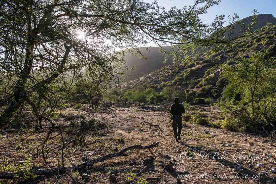 Mans moral obligation to Africa's Wildlife