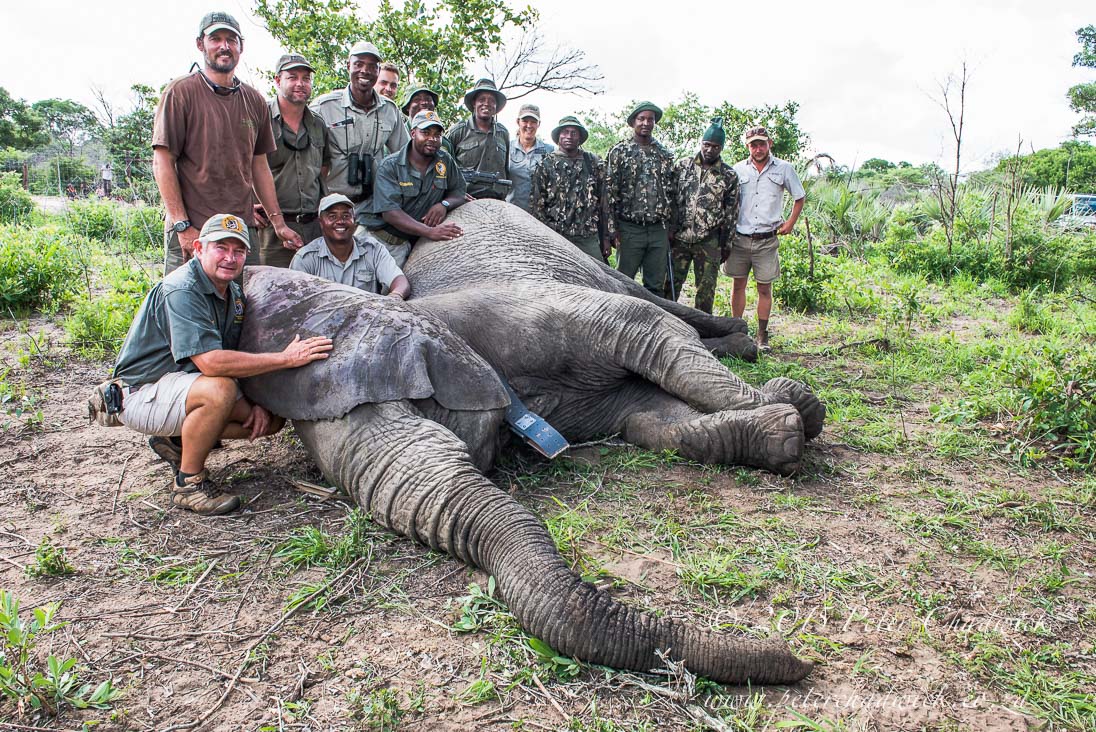 What Makes A Winning Conservation Team?