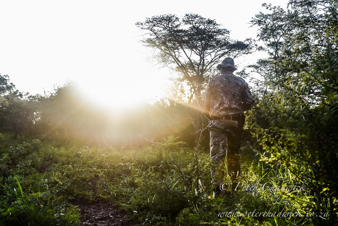 Rangers and World Wildlife Day