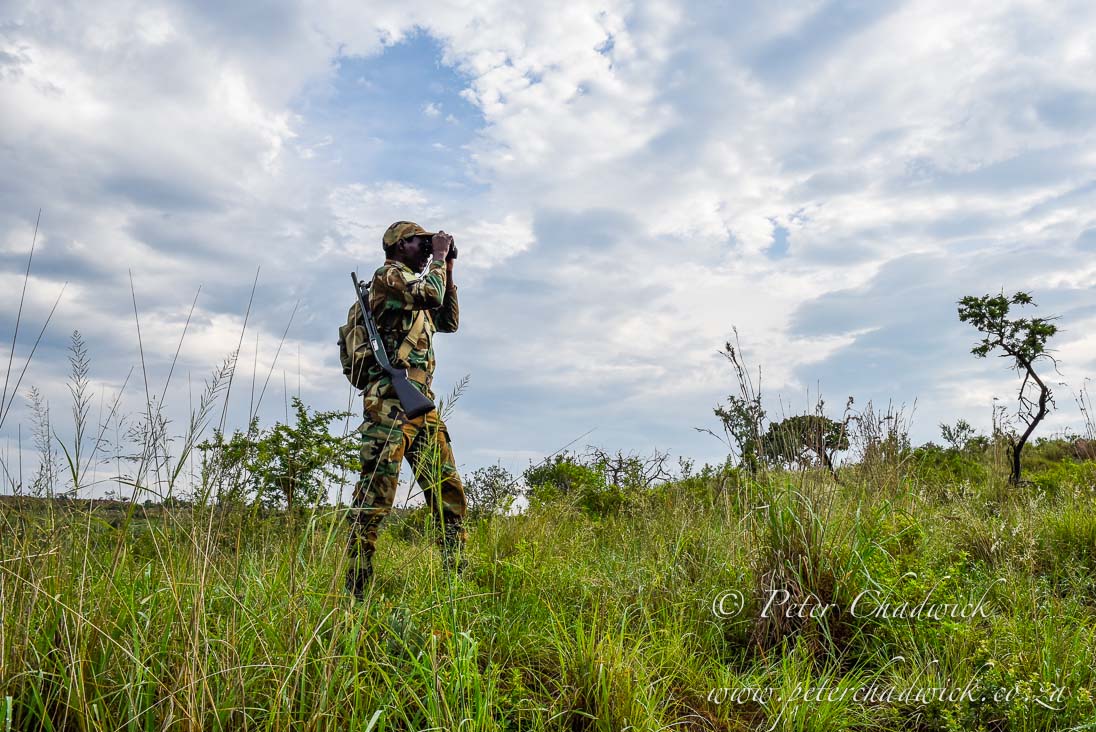 Rhino Monitoring Rangers