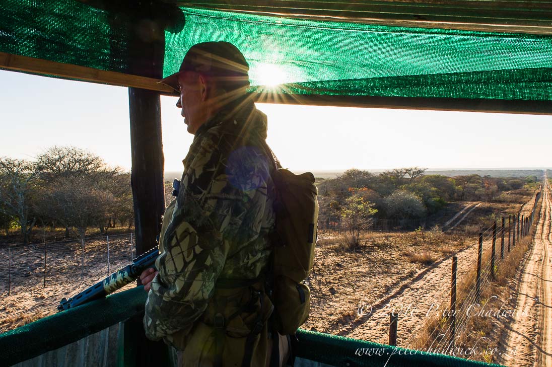 Protecting Rhino