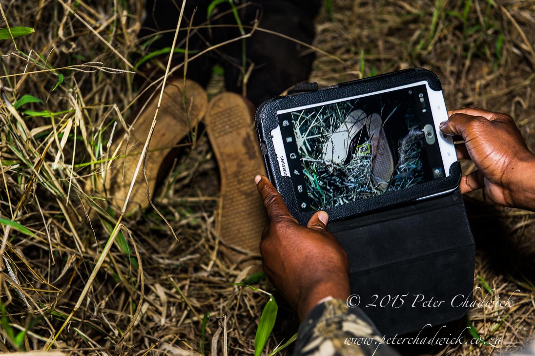 The reality of a Shoot-out with Rhino Poachers