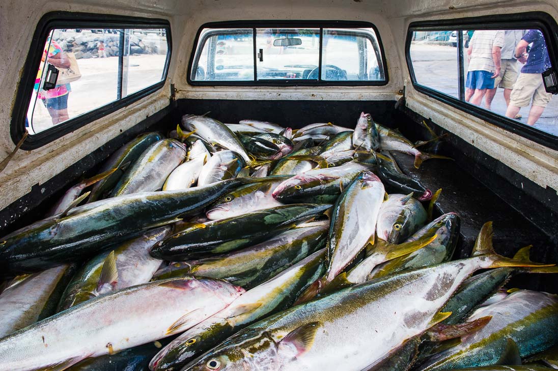 South Africa’s marine resources are under dire threat 